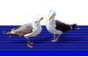bird.GIF (3139 bytes)