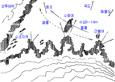 p100.GIF (12086 bytes)