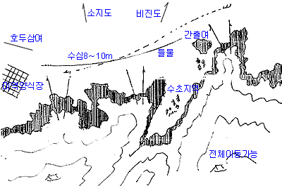 p103.GIF (10396 bytes)