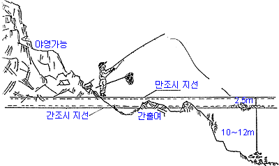 p97.GIF (6369 bytes)