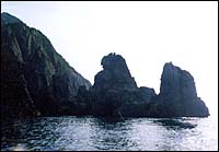 pic46.jpg (13660 bytes)
