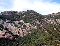 19-1.jpg (15007 bytes)