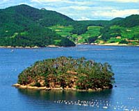 25-2.jpg (17661 bytes)