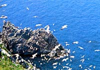 26-1.jpg (16070 bytes)